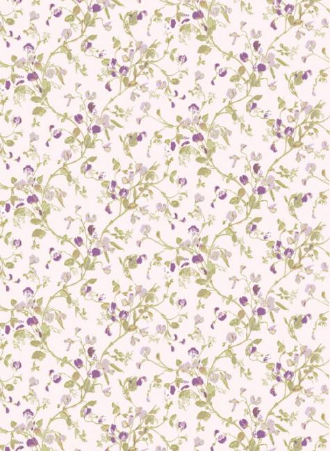 Обои Cole & Son A Collection of Flowers # 81-11047